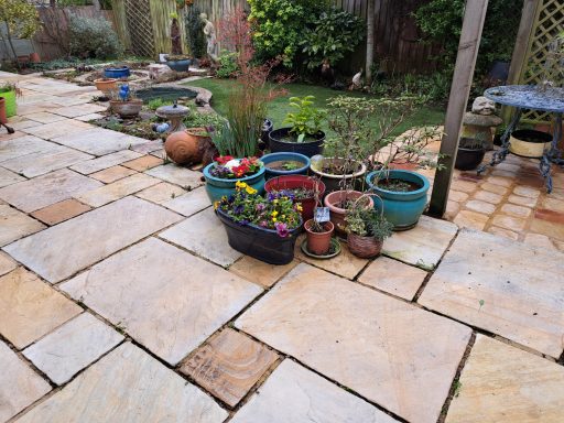 Garden patio with various potted plants and a mix of stone paving.